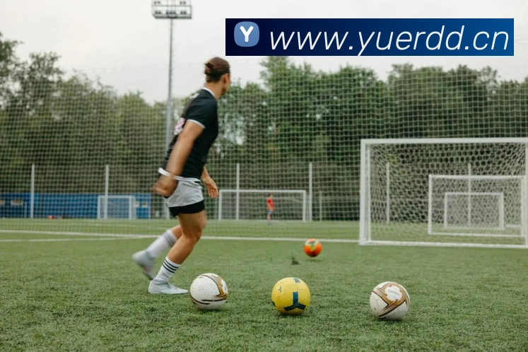 kiayun官网发展历程